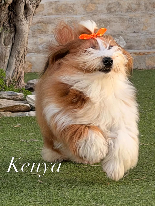 Kenya posando al sol