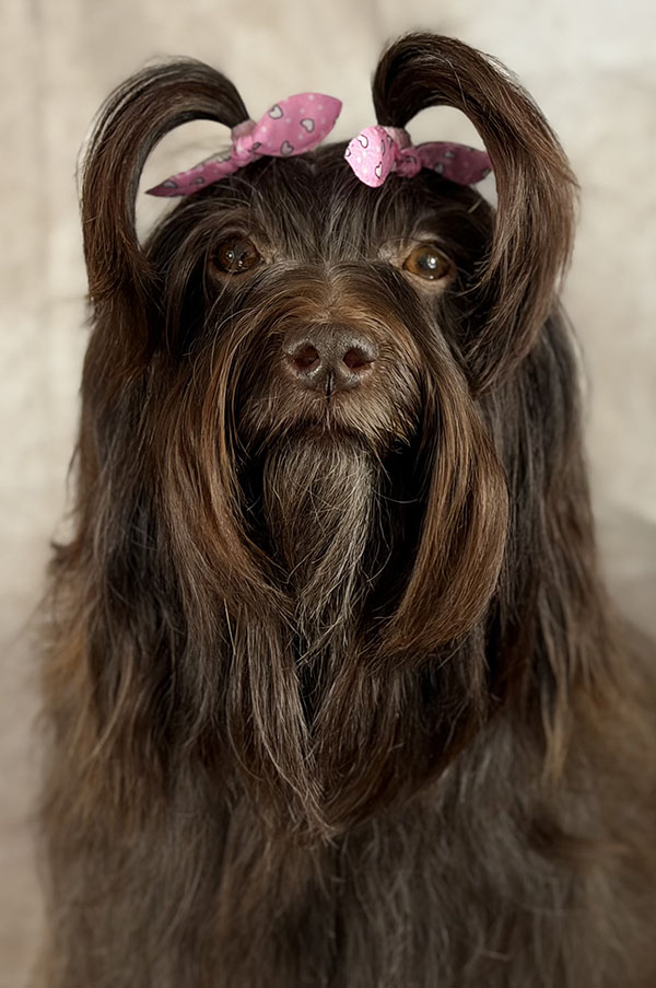 Retrato frontal de Luba